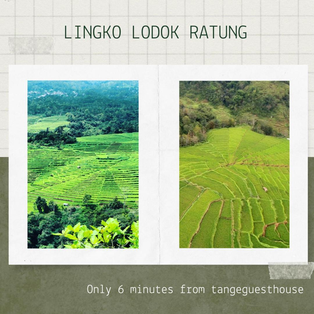 Tange Guest House Ruteng Ngoại thất bức ảnh